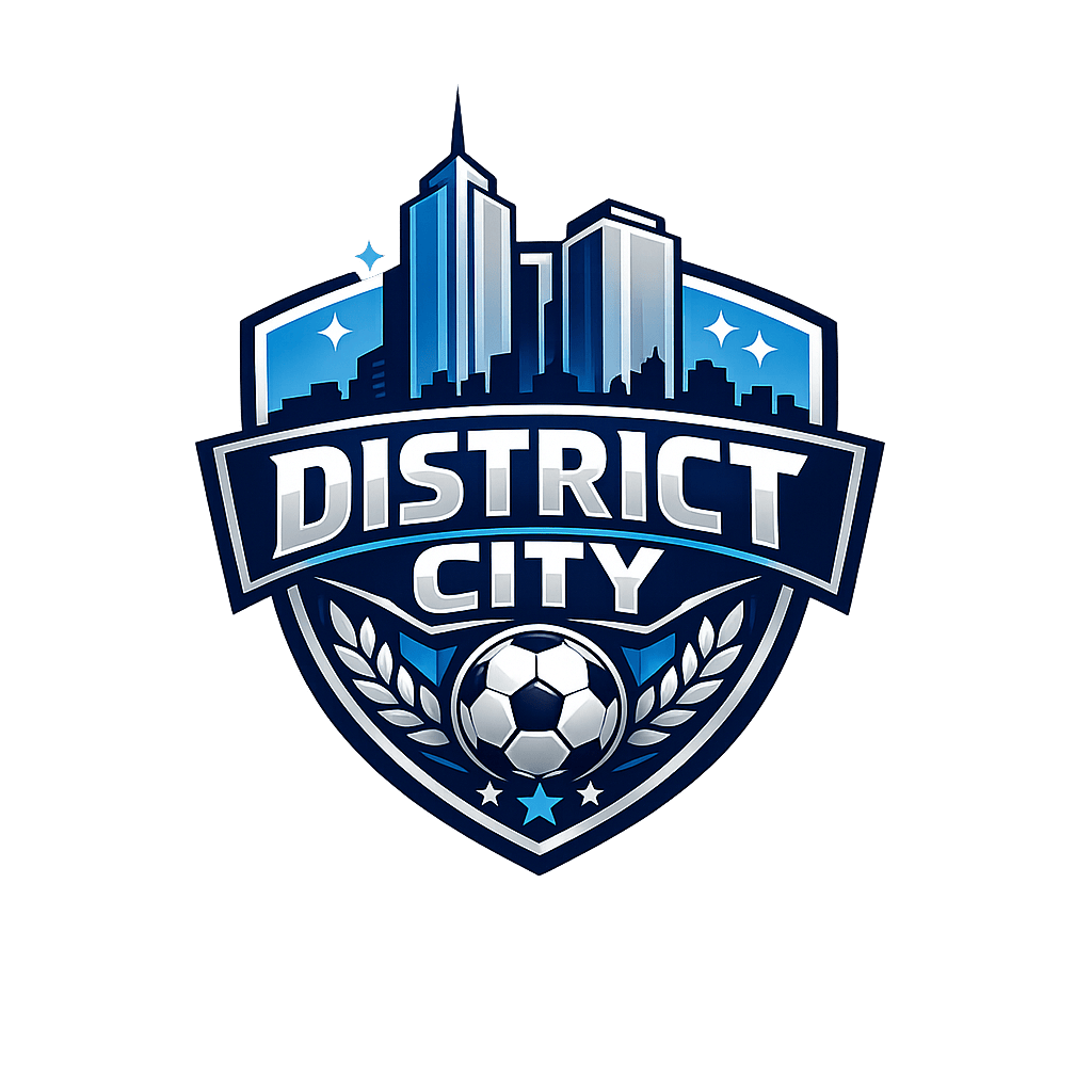 District City Logo